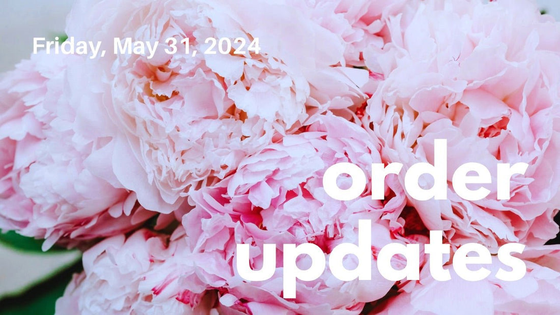Countdown To My 41st Birthday + Order Updates - Agashi Shop