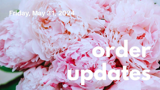 Countdown To My 41st Birthday + Order Updates - Agashi Shop