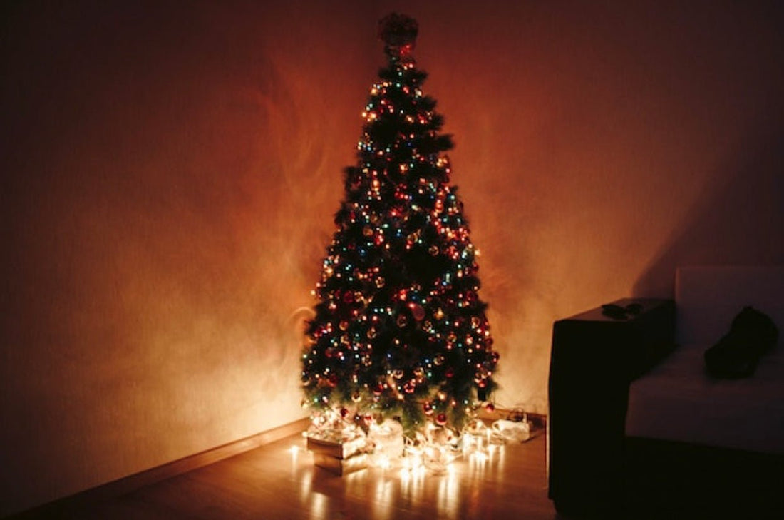 First Order Updates of December - Agashi Shop