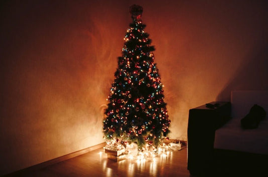 First Order Updates of December - Agashi Shop