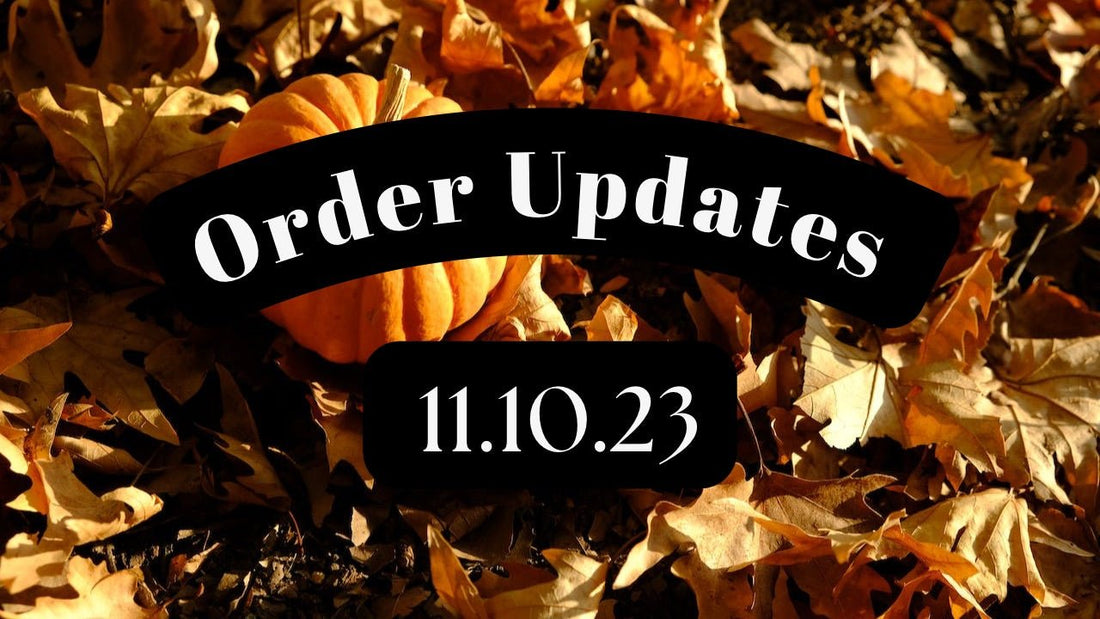 First Order Updates of November - Agashi Shop