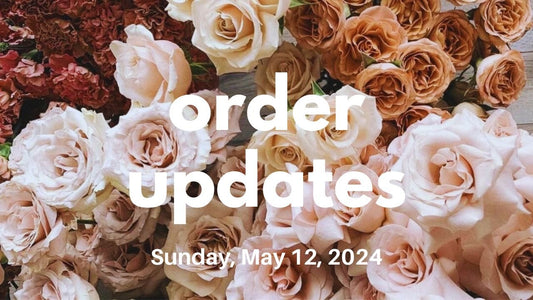 Happy Meowther's Day + Order Updates - Agashi Shop