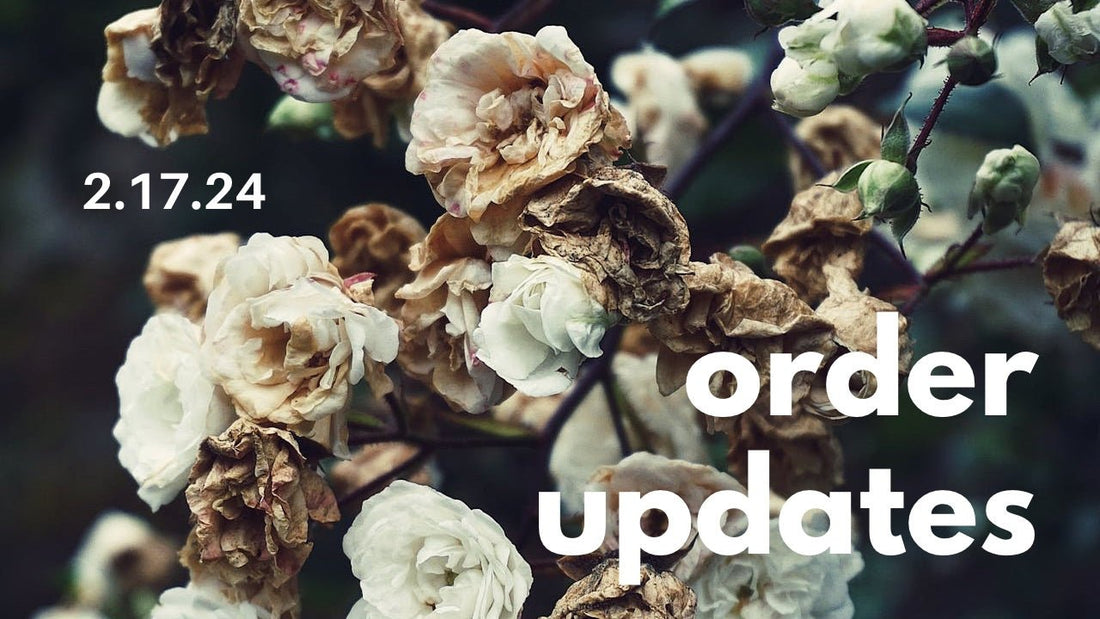 Mid-February Order Updates 2.16.24 - Agashi Shop