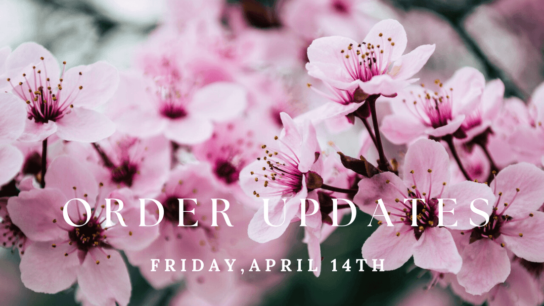 Order Updates - Friday, April 14th - Agashi Shop