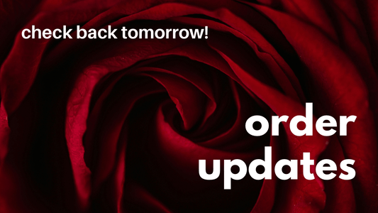 Order Updates Posting Tomorrow - Agashi Shop