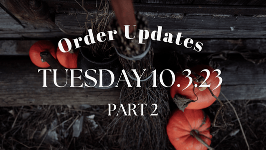 Part 2 - End of September Order Updates - Agashi Shop